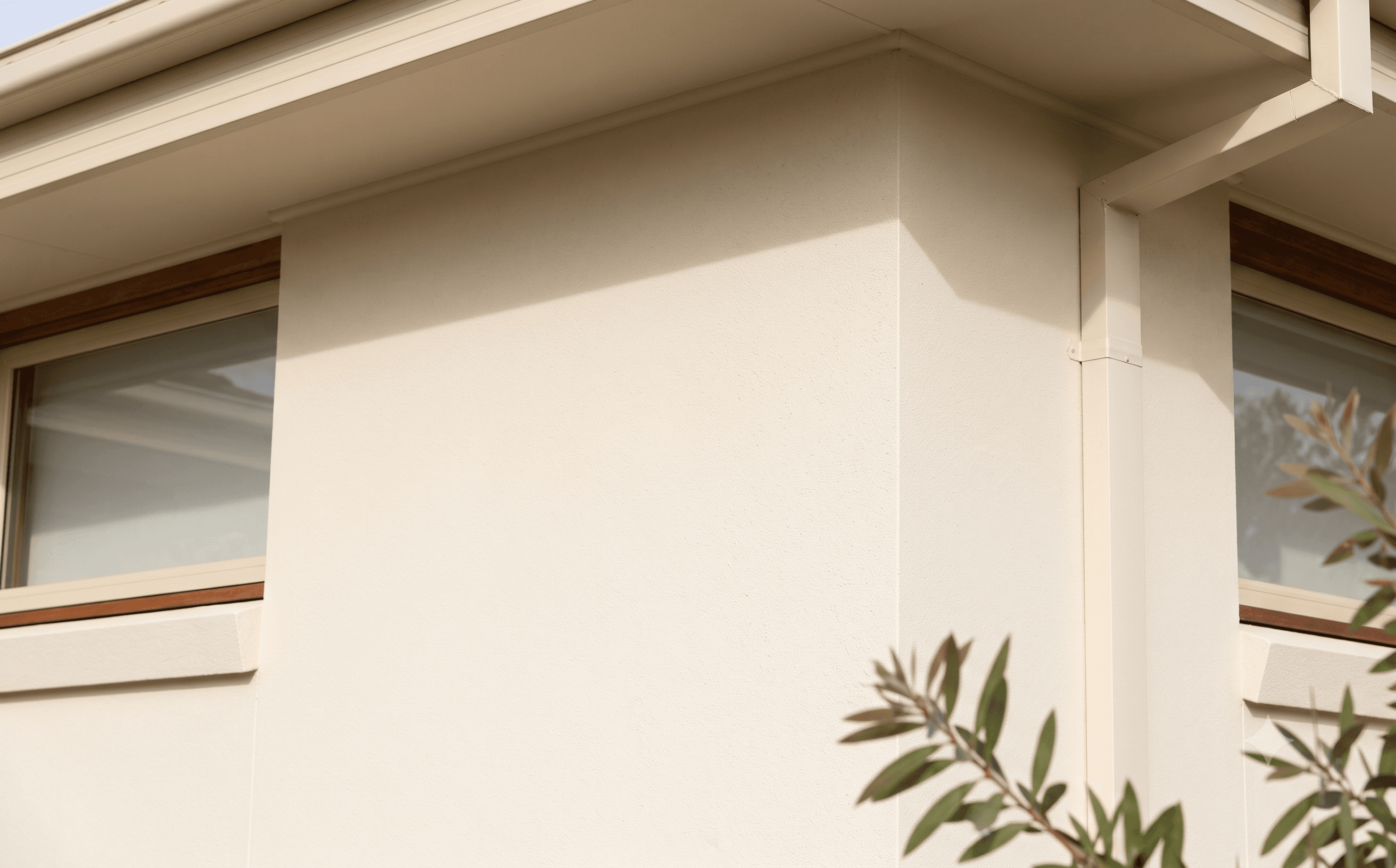 Close-up of a freshly painted render finish on an exterior wall